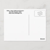 Dinito, le dinosaure super déformé ! Carte postale (Dos)