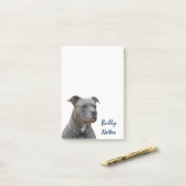 Dinking Pitbull Bully Notes (Op bureau)