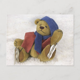 Dinky Beren Winter Fun Briefkaart