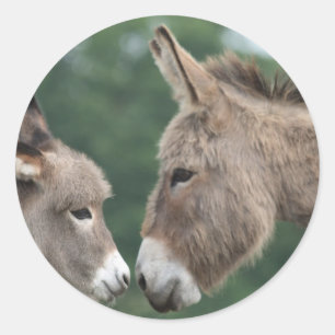 Dinky donkey ronde sticker