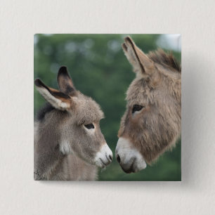 Dinky donkey vierkante button 5,1 cm