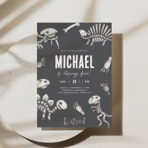 Dino Dig Theme Verjaardag