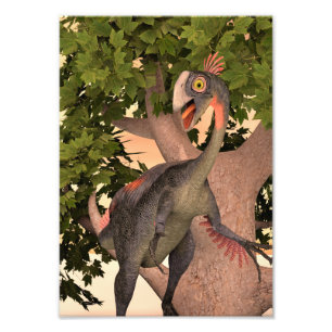 Dino Gigantoraptor Foto Afdruk