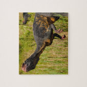 Dino in het Gras Legpuzzel (Verticaal)