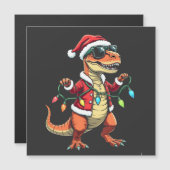 Dino in Kerstlichtjes en Sinterklaashoed (Voorkant / Achterkant)