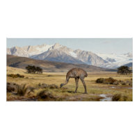 Dinornis robustus – Reuzenmoa van het Zuidereiland