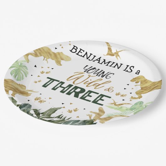 Dinosaur 3e verjaardag jongensfeest papieren bordje (Gekanteld)