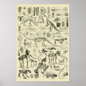 Dinosaur Bone Fossils Art Poster (Voorkant)
