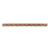 Dinosaur Bone Ribbon 1 Lint (Voorkant)