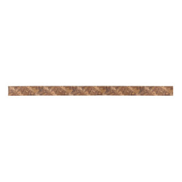Dinosaur Bone Ribbon 1 Lint