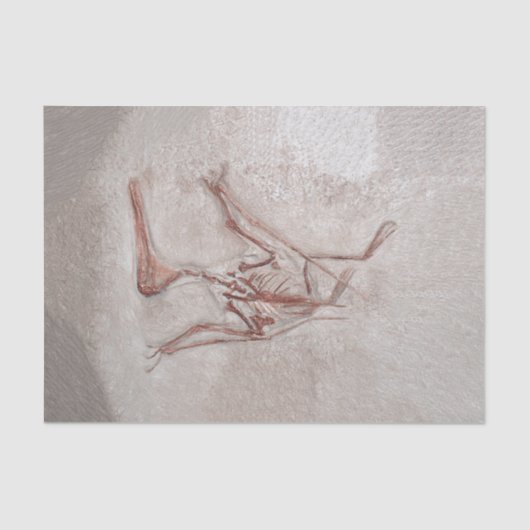 Dinosaur Botten Old Prehistch Sketch Art Tissuepapier (Voorkant)