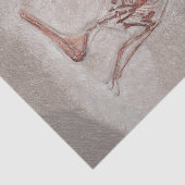 Dinosaur Botten Old Prehistch Sketch Art Tissuepapier (Detail)