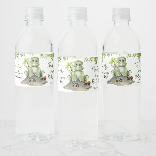 Dinosaur Boy Baby shower Waterfles Etiket (Flessen)