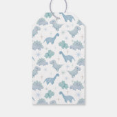 Dinosaur Boys Birthday Party Cadeaulabel (Achterkant)