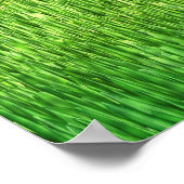 Dinosaur Brachiosaurus Poster (Hoek)