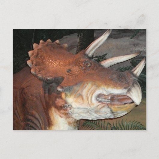Dinosaur briefkaart (Voorkant)