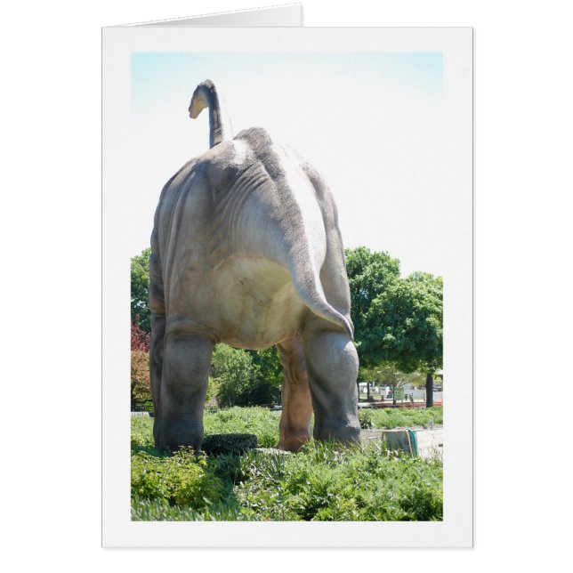 Dinosaur Brontosaurus (Voorkant)