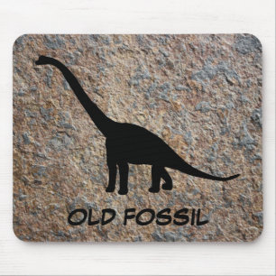 Dinosaur Brontosaurus Old Fossil Muismat