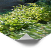 Dinosaur Brontosaurus Poster (Hoek)