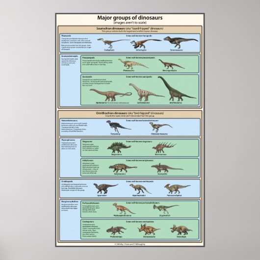 Dinosaur Classification Vereenvoudigd Poster (Voorkant)