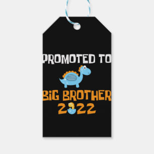 Dinosaur Egg Hatching promoot aan Big Brother Cadeaulabel