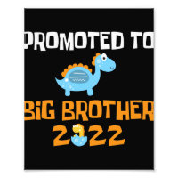 Dinosaur Egg Hatching promoot aan Big Brother
