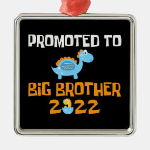 Dinosaur Egg Hatching promoot aan Big Brother Metalen Ornament