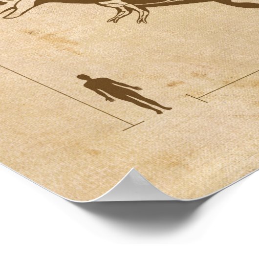 Dinosaur Fossiel 4 Poster (Hoek)