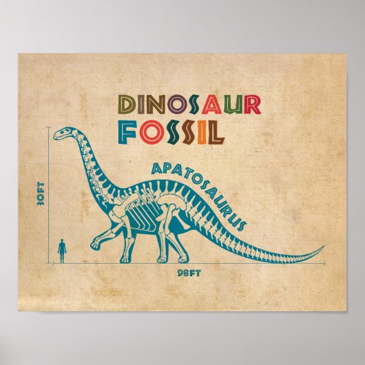Dinosaur Fossiel 6 Poster (Voorkant)