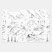 Dinosaur Fossil Botten Patroon Inpakpapier Vel (Voorkant 3)