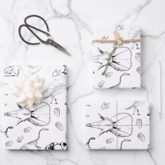 Dinosaur Fossil Botten Patroon Inpakpapier Vel (Voorkant)