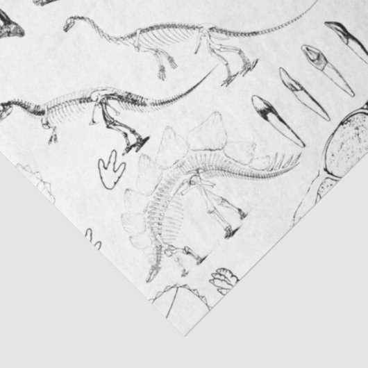 Dinosaur Fossil Botten Patroon Tissuepapier (Detail)