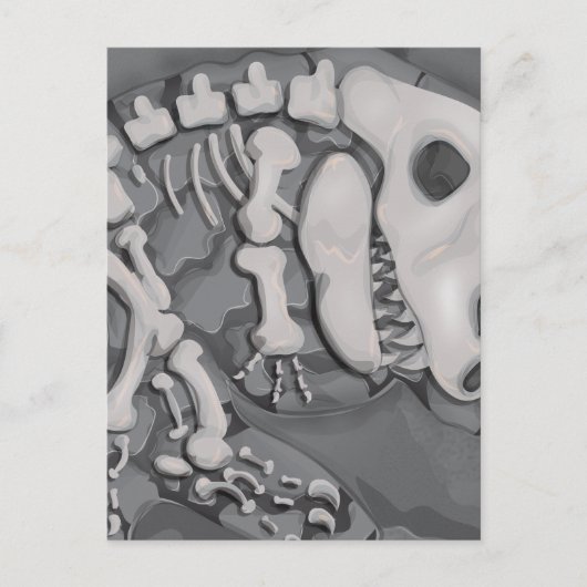 Dinosaur Fossil Briefkaart (Voorkant)