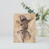 Dinosaur Fossil Briefkaart (Staand voorkant)