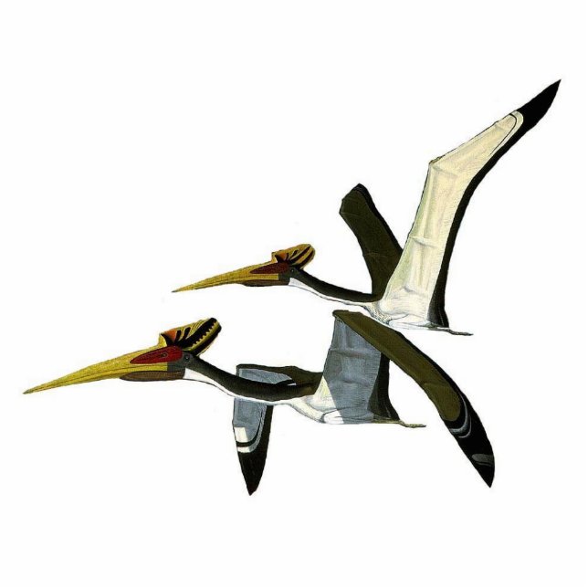 Dinosaur Fotosculptuur Pterosaurs Gregory Paul Staand Fotobeeldje (Voorkant)