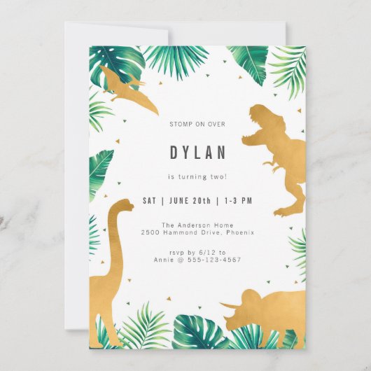 Dinosaur Kids Birthday Party Invitation (Devant)