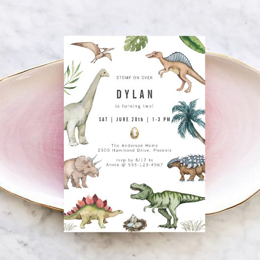 Dinosaur Kids Birthday Party Invitation
