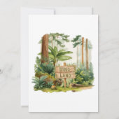 Dinosaur Kids Birthday Party Invitation (Dos)