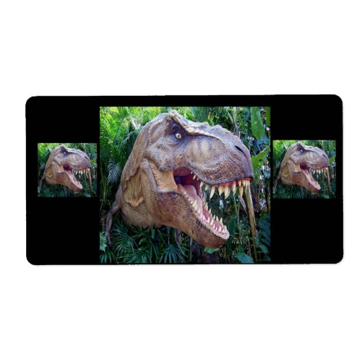 Dinosaur-labels voor kinderen etiket (Voorkant)