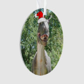 Dinosaur met kerstcadeau Pet Ornament (voorkant)