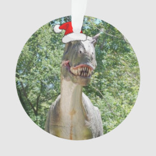 Dinosaur met kerstcadeau Pet Ornament