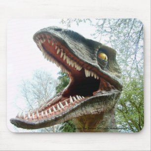 Dinosaur Mousemat Muismat