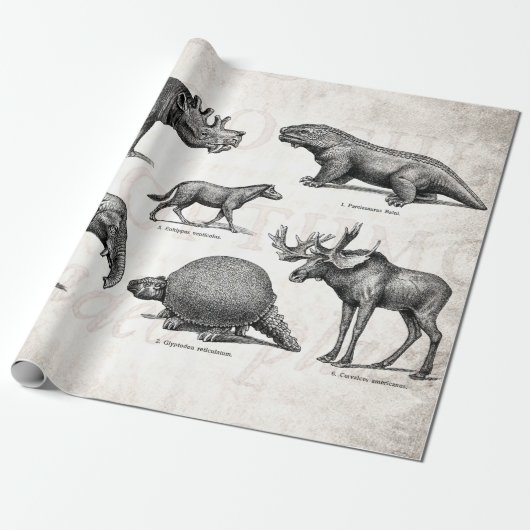 Dinosaur Old Illustration Retro Dinosaurs Cadeaupapier (Uitgerold)