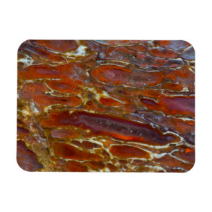 Dinosaur Petrified Bone Magneet