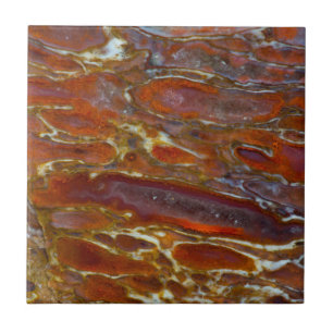 Dinosaur Petrified Bone Tegeltje