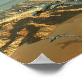 Dinosaur Poster (Hoek)