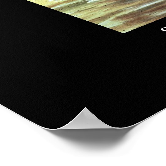 Dinosaur Poster Styracosaurs Gorgosaurus Greg Paul (Coin)