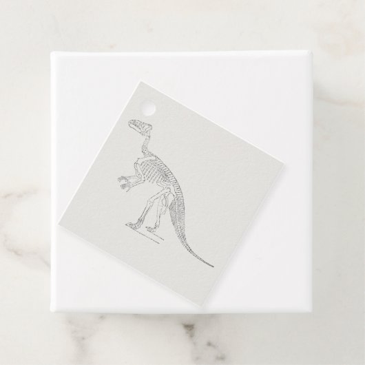 Dinosaur Skeleton Art Bedankjes Labels (In situ)