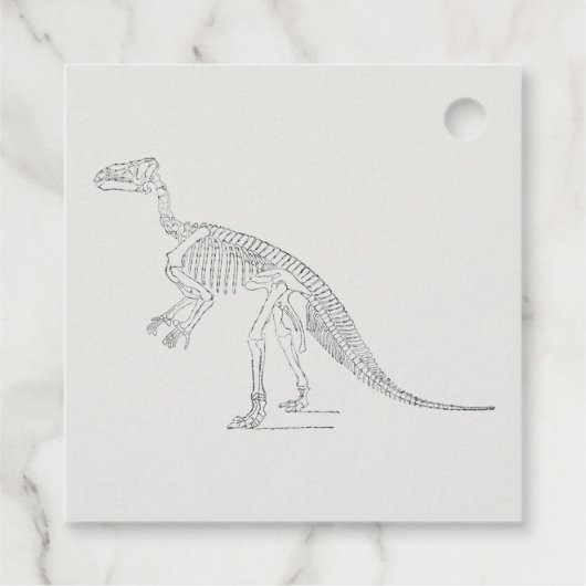 Dinosaur Skeleton Art Bedankjes Labels (Achterkant)
