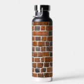 Dinosaur T-Rex Busting Out Personalize Name Waterfles (Rechts)